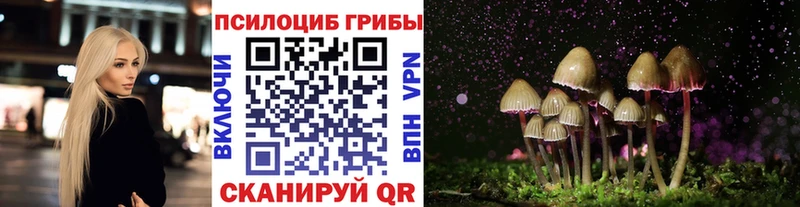 хочу   Фёдоровский  Галлюциногенные грибы ЛСД 